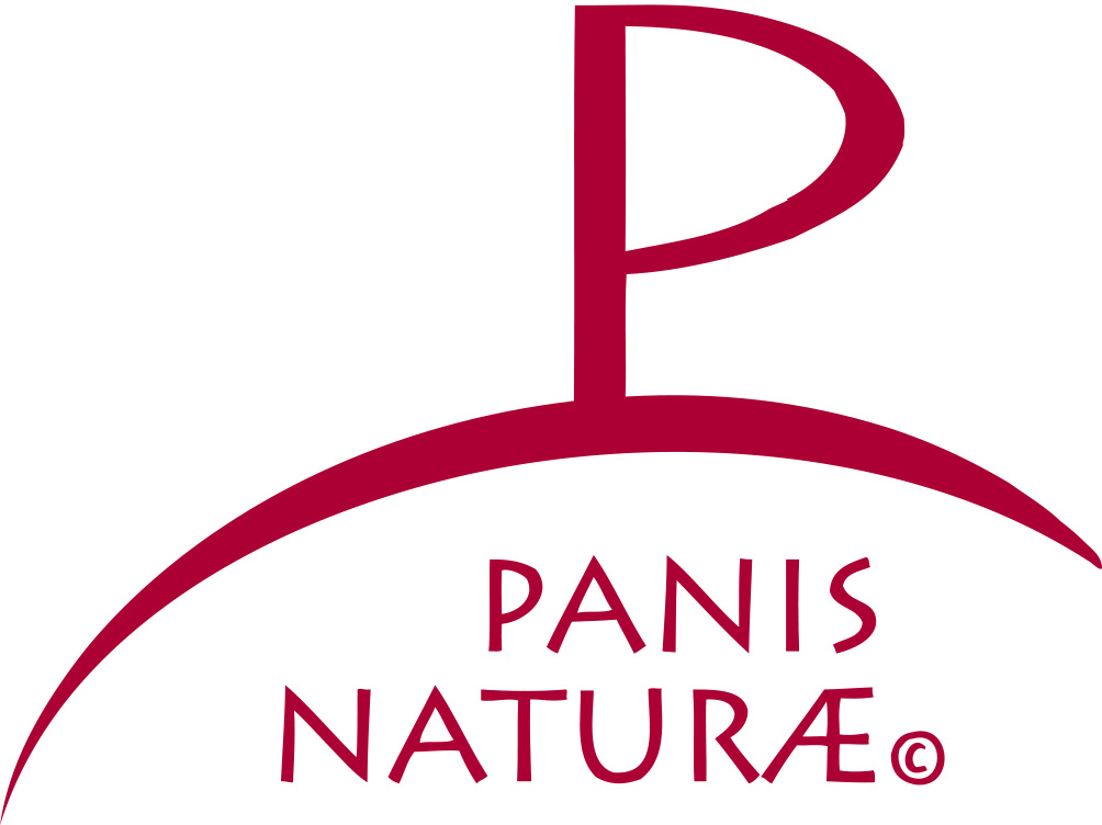 logo-panis-P201